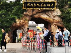 -大槐树寻根祭祖园
