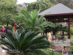 -咸宁万豪温泉谷度假区