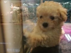 -乐宠宠物店(世纪金源店)