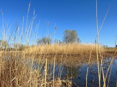 -大兴滨河森林公园