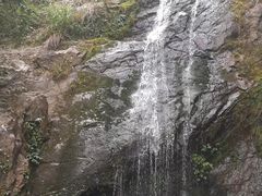 -江西阳明山国家森林公园