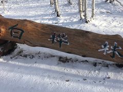 -北极村旅游风景区