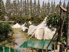 -前小桔亲子创意农场·草莓采摘·露营烧烤