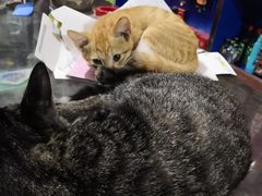 -中广汪海国际影城