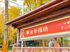 -灵山胜境
