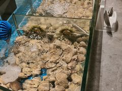 -汉阳廷自助烤肉·火锅(万丰海岸城店)