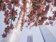 -上海中心大厦