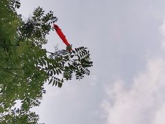 -羊山湖公园