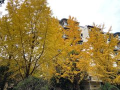 -屋头串串(新街里店)