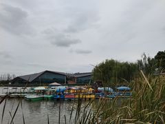 -上海长兴岛郊野公园