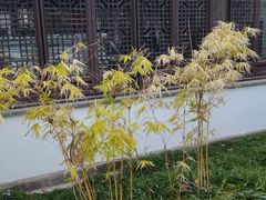 -南京市民俗博物馆(甘熙故居)