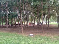 -长春公园(普阳街道)