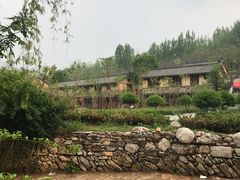 -黄花溪