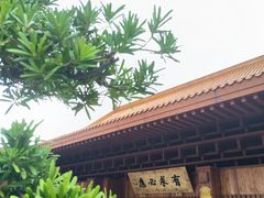 -深圳仙湖植物园