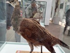 -陕西自然博物馆