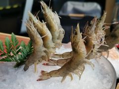 -王家渡火锅店(棕榈泉店)