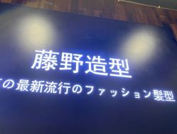 点击看大图 -藤野造型