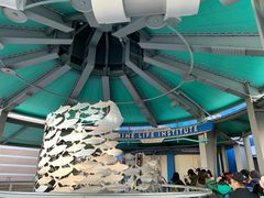 -海底巡游艇:尼莫和好友的海洋世界