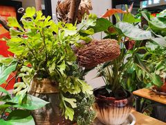 -舌尖上的食缘花园主题餐厅