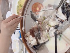 -全乐鱼馆·淳牌有机鱼直营店