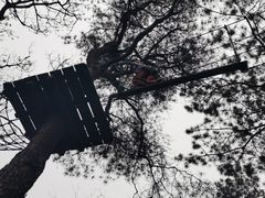 -芦仙山景区-飞越丛林探险乐园