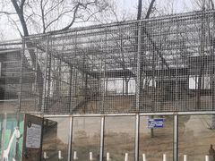 -北京鹿世界主题园