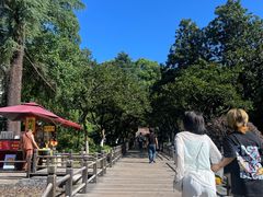 -杭州黄龙洞
