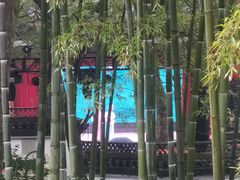 -杭州黄龙洞