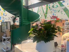 -绿壁虎攀岩基地(Tcar店)