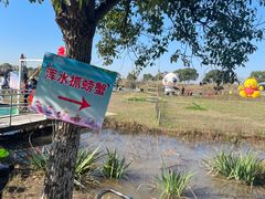 -上海都市菜园
