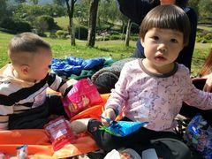 -铁山坪森林公园