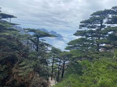 -黄山风景区