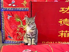 -龙华寺