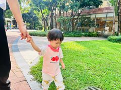 -金点蒙氏国际教育(悠然校区)