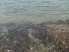 -碧桂园十里银滩