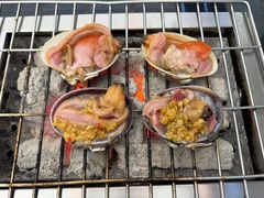 -震海贝烤贝·民俗特色店(延吉总店)