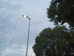 -青枫公园