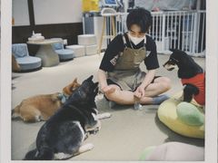 -逗柴咖啡屋·狗咖猫咖宠物桌游