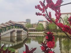 -西海子公园