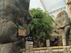-香港海洋公园