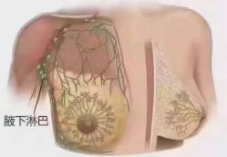 -名发世家烫染