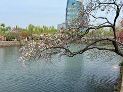 -无锡蠡湖国家湿地公园-蠡园