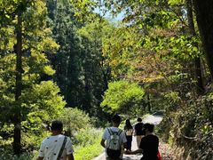 -素山寺森林公园