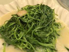 -利苑酒家(合景国际金融广场店)