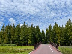 -黄海国家森林公园