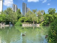 -西苑公园