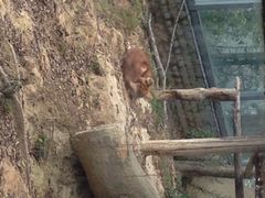 iphone_upload_pic-福州动物园