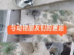 -保定市动物园