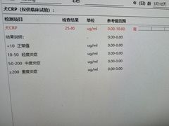 -半岛宠物医院24小时(科华中路店)