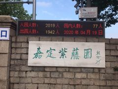 -嘉定紫藤园